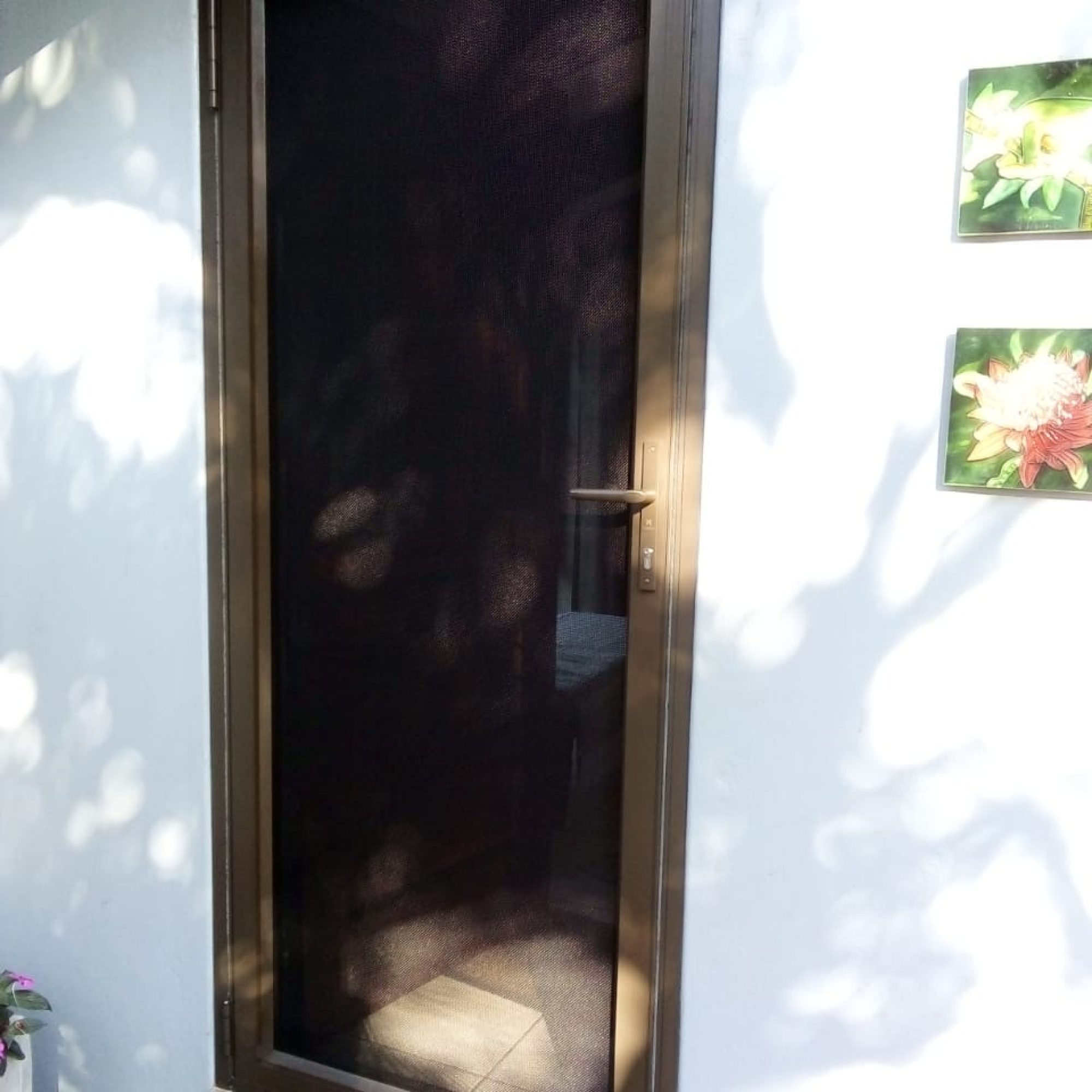 monkey security door