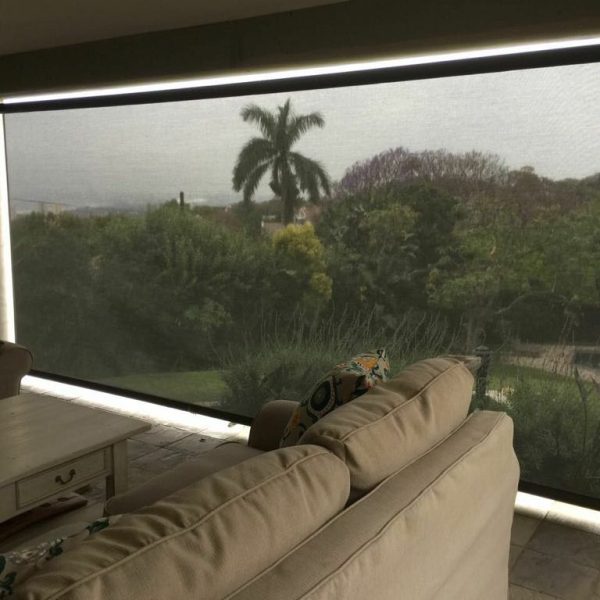 picture clear roller blind